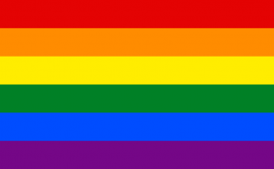 Rainbow Pride LGBT Flag