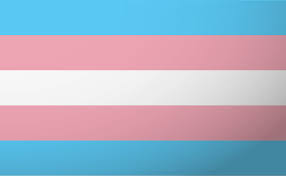 Trans Flag