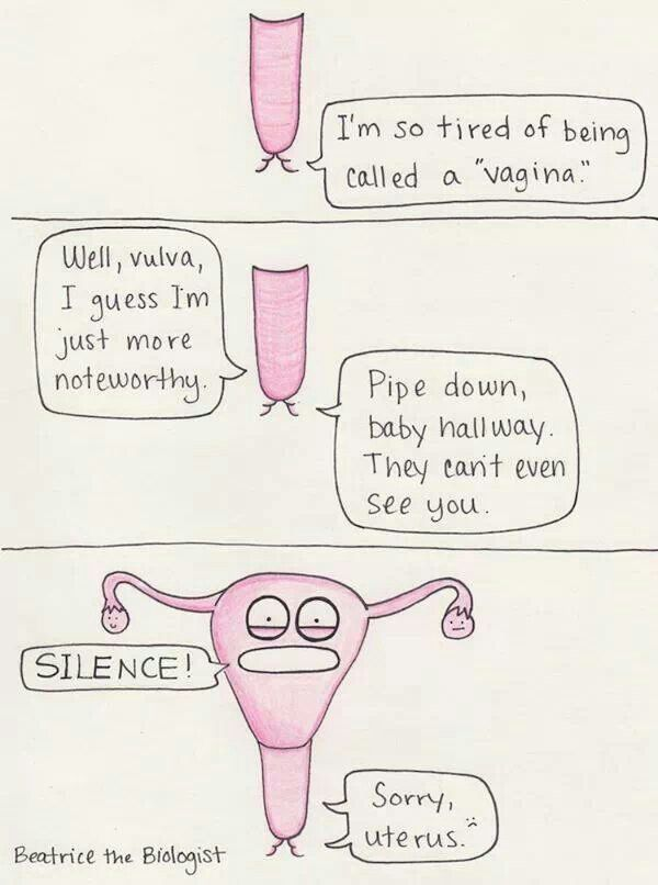 Vulvovaginal Health Fremantle Women S Health Centre